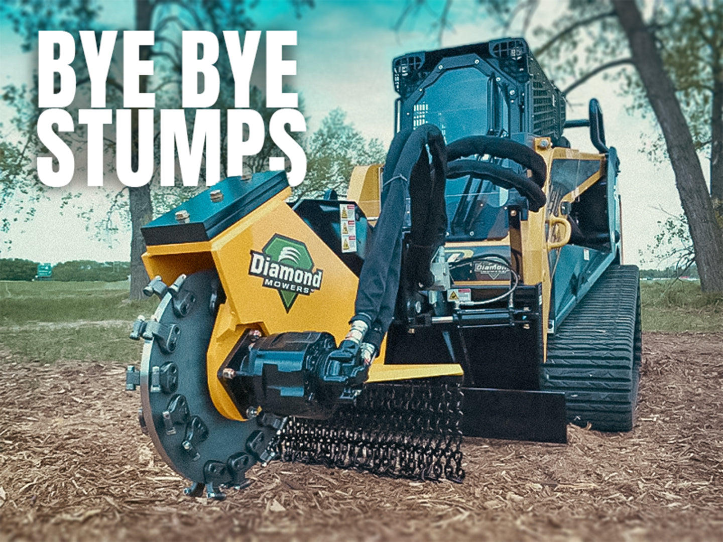 “Cleared Land”, They Said… Then You Find the Stumps
